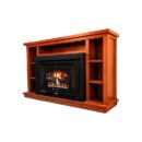 Buck Stove Model 34 Manhattan Gas Stove